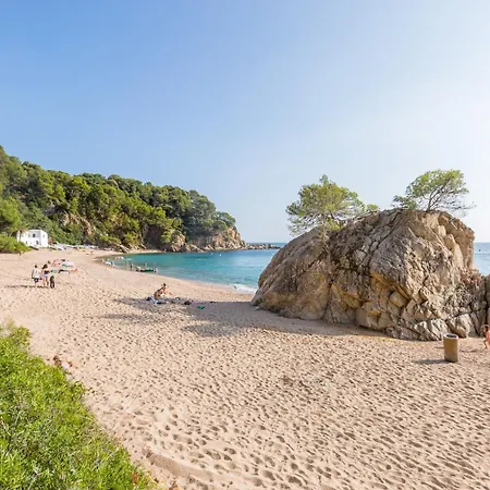 Sote - Lloret De Mar *